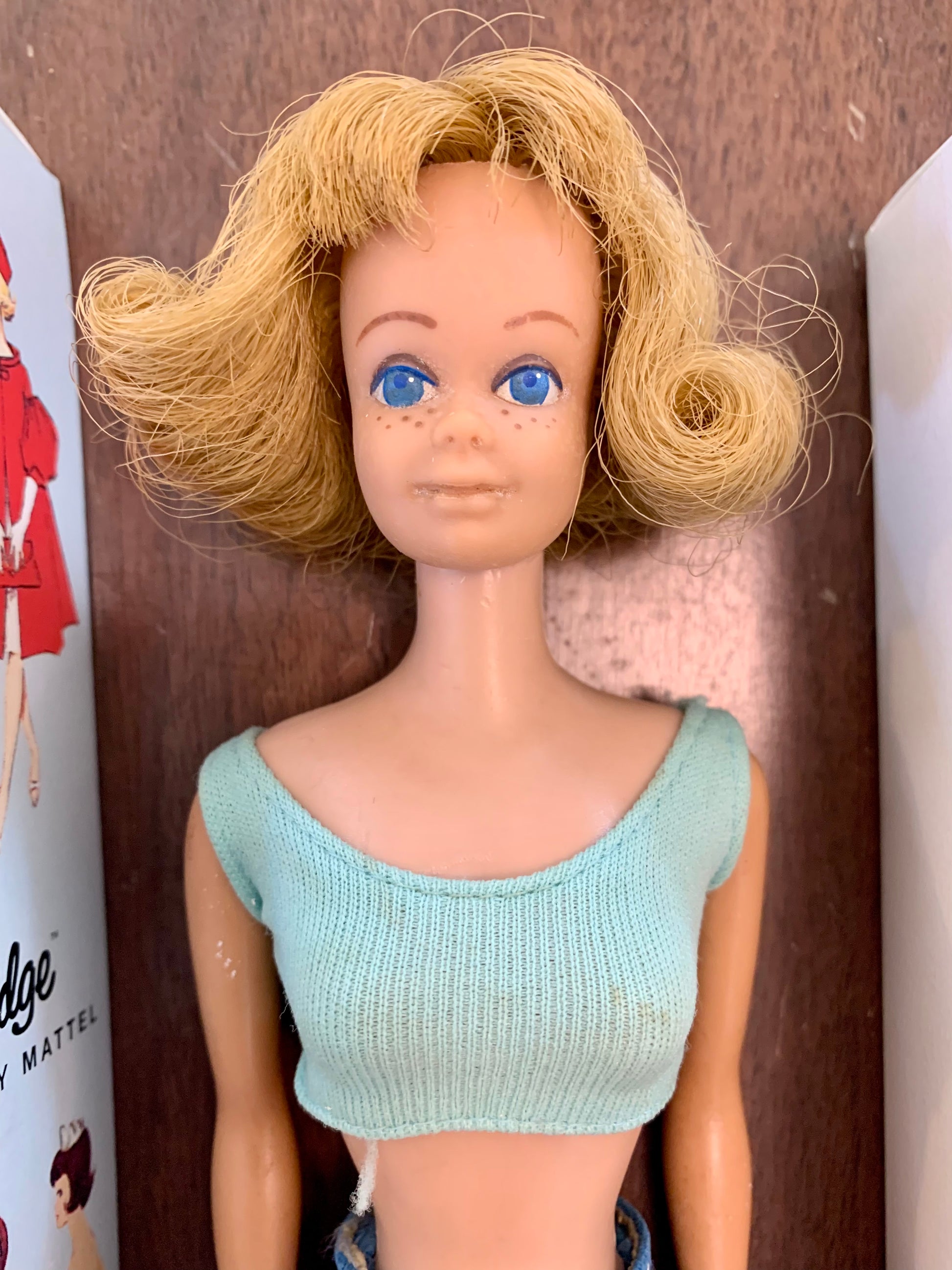 Undertrykkelse Konkurrere Lav vej 1962 Barbie's Friend Midge in original box stock no 860 – Ajnot's  Collectibles